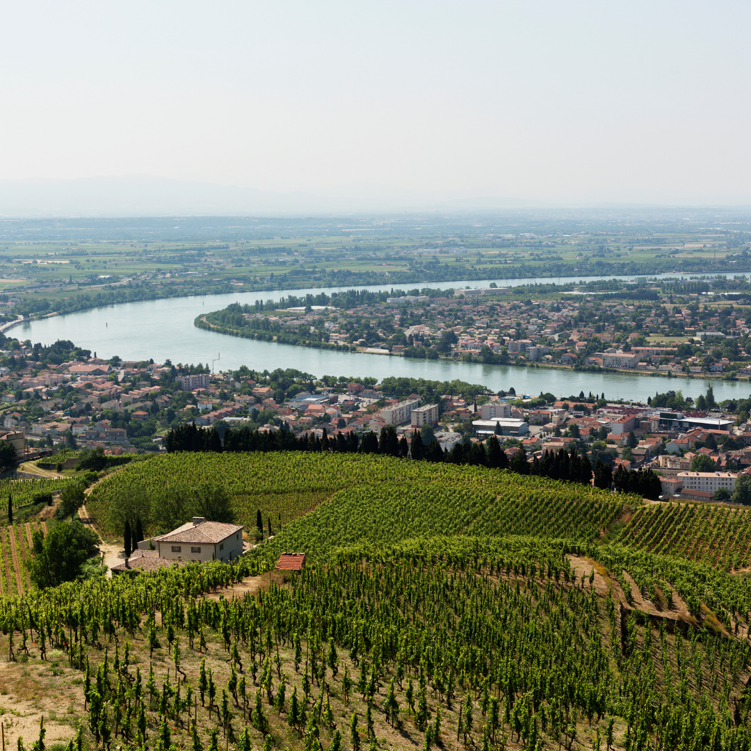 L'AOP Saint-Joseph  L'excellence viticole de la vallée du Rhône nord